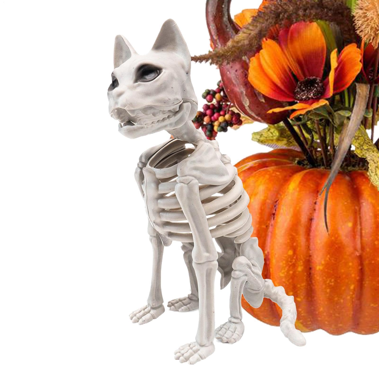 Chat squelette d'Halloween : décoration effrayante réaliste pour maison et cour
