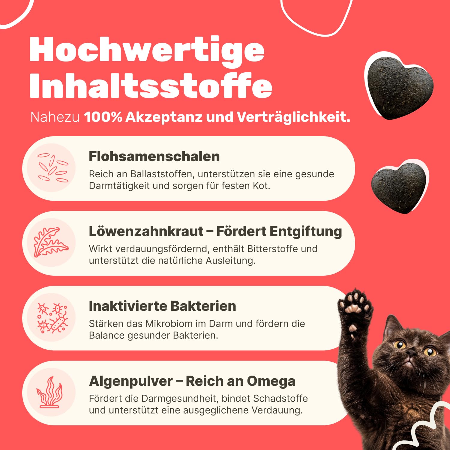 9-in-1 Probiotika für deine Katze | Unterstützt die Verdauung von Katzen | Ergänzungsfuttermittel für Katzen | Bei Durchfall Katze | Flohsamen & Löwenzahnkraut | Tierärztlich entwickelt | Patsli Belly