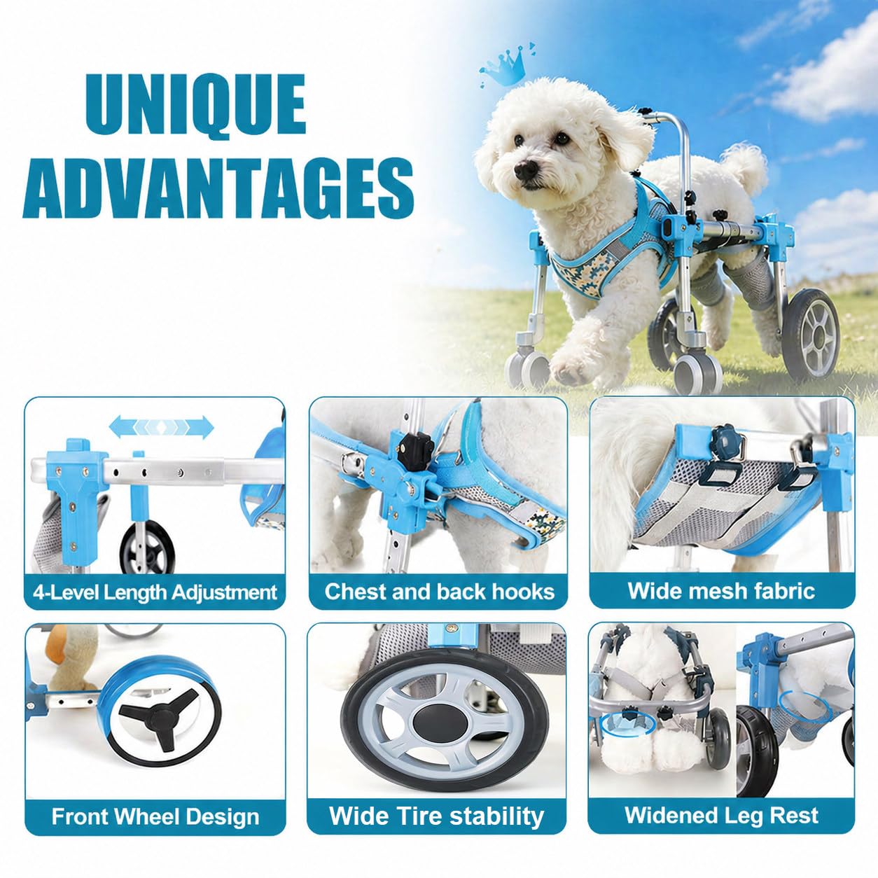 Carrellino per Cani, Supporto Zampe Posteriori, Ausilio Mobilità Regolabile Black-M | Con Supporto per Zampe Posteriori E Addome, Ideale per Cani E Gatti Con Lesioni O Problemi Di Mobilità