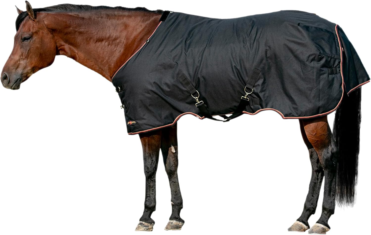 Kensington Horse Pony Turnout Blanket - (180g Fill) Midweight - 1200D Ripstop - Waterproof, Breathable, Wicking Liner - Ideal for Cool to Cold Weather: Size 81" Color Black