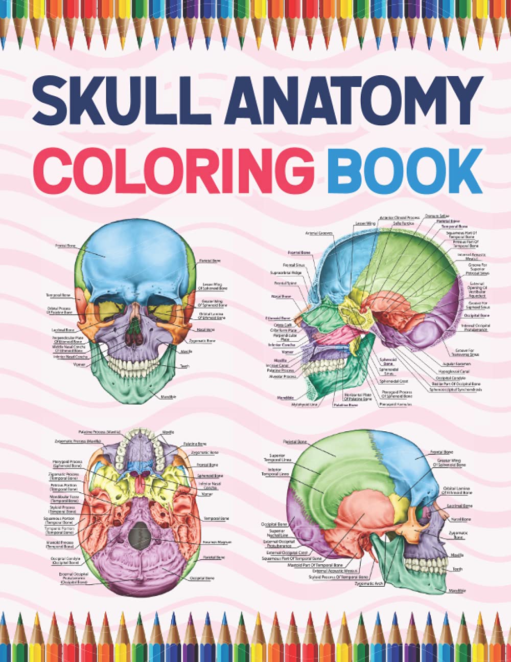 Skull Anatomy Coloring Book: Incredibly Detailed Self-Test Human Skull Anatomy Coloring Book for Anatomy Students | The Human Skull Anatomy Self Test ... Coloring Book for Kids Boys Girls Teens.