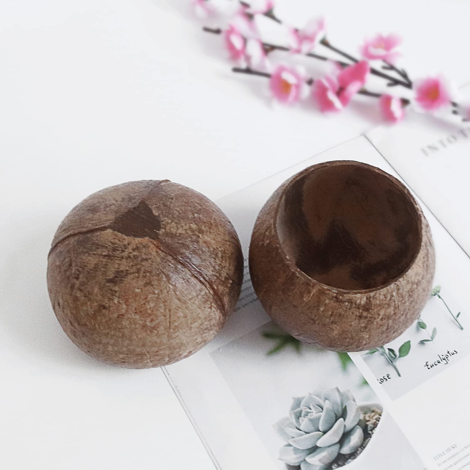 Tinysiry Bols De Service En Noix De Coco Naturelle, Porte