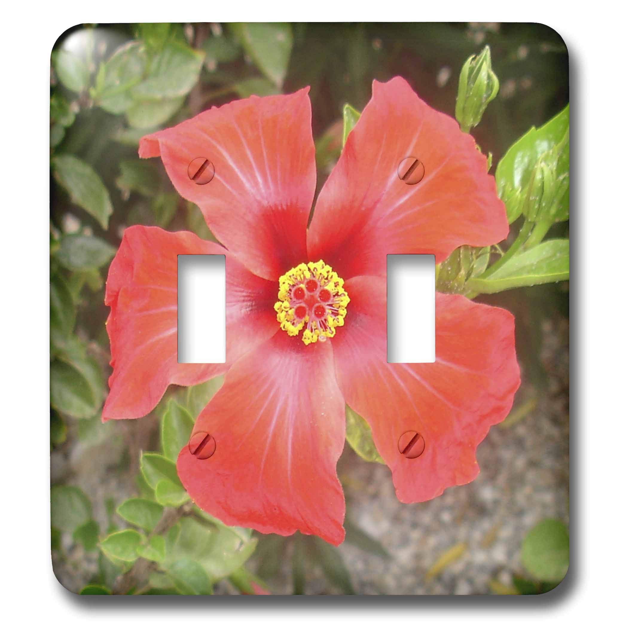 Interrupteur à bascule Tropical Hibiscus 3dRose lsp_46819_2 pour décoration murale exotique