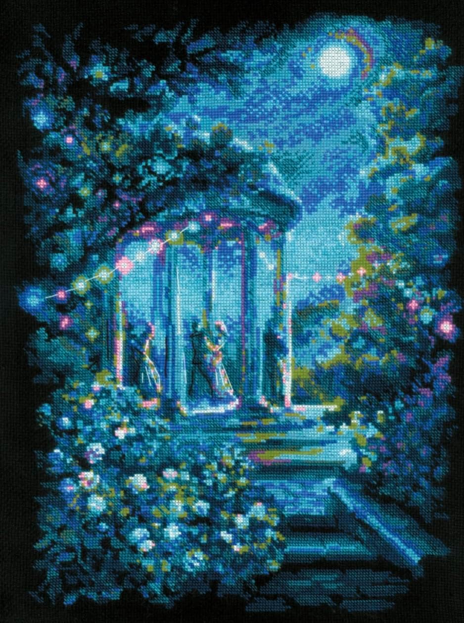 RIOLIS Counted Cross Stitch kit 2216 Moonlight Magic, Blue