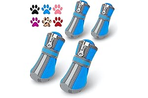qumypets dog shoes
