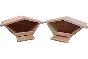 Best Mourning Dove Nesting Box for Your Avian Neighbors: Top-Rated Cedar Nesting Box for Sale