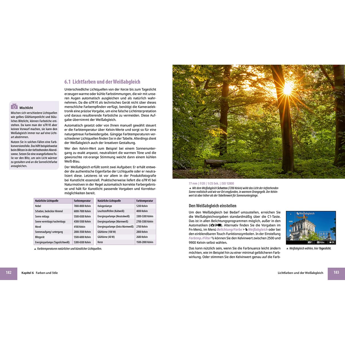 Sony alpha 7R VI - Das umfangreiche Praxisbuch zu Ihrer Profi-Kamera: Verständliche Anleitungen, Workshops & Praxistipps von Experten - für beeindruckende Fotos und Videos