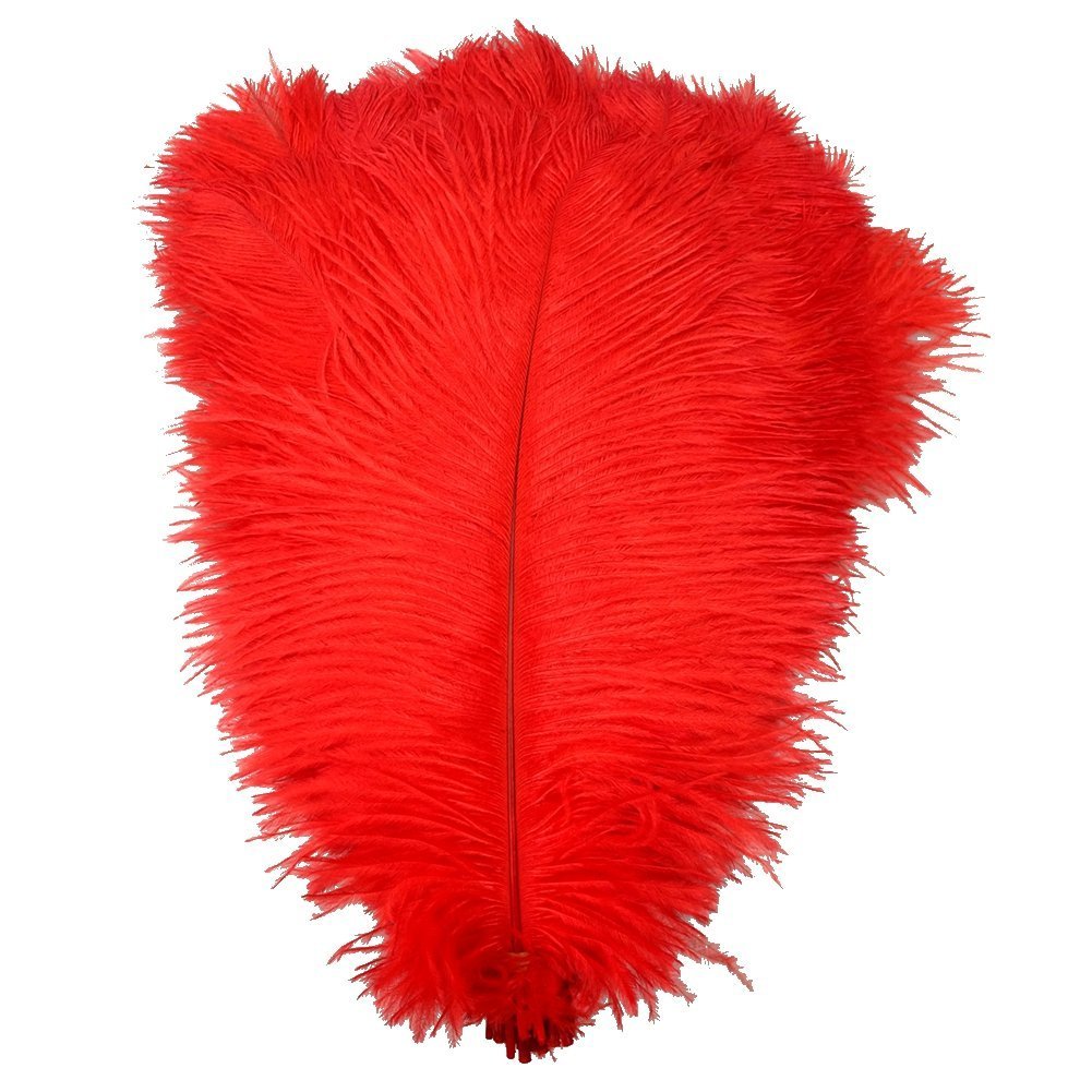 Plumes d'autruche rouges de 30-35 cm pour décoration lot de 50