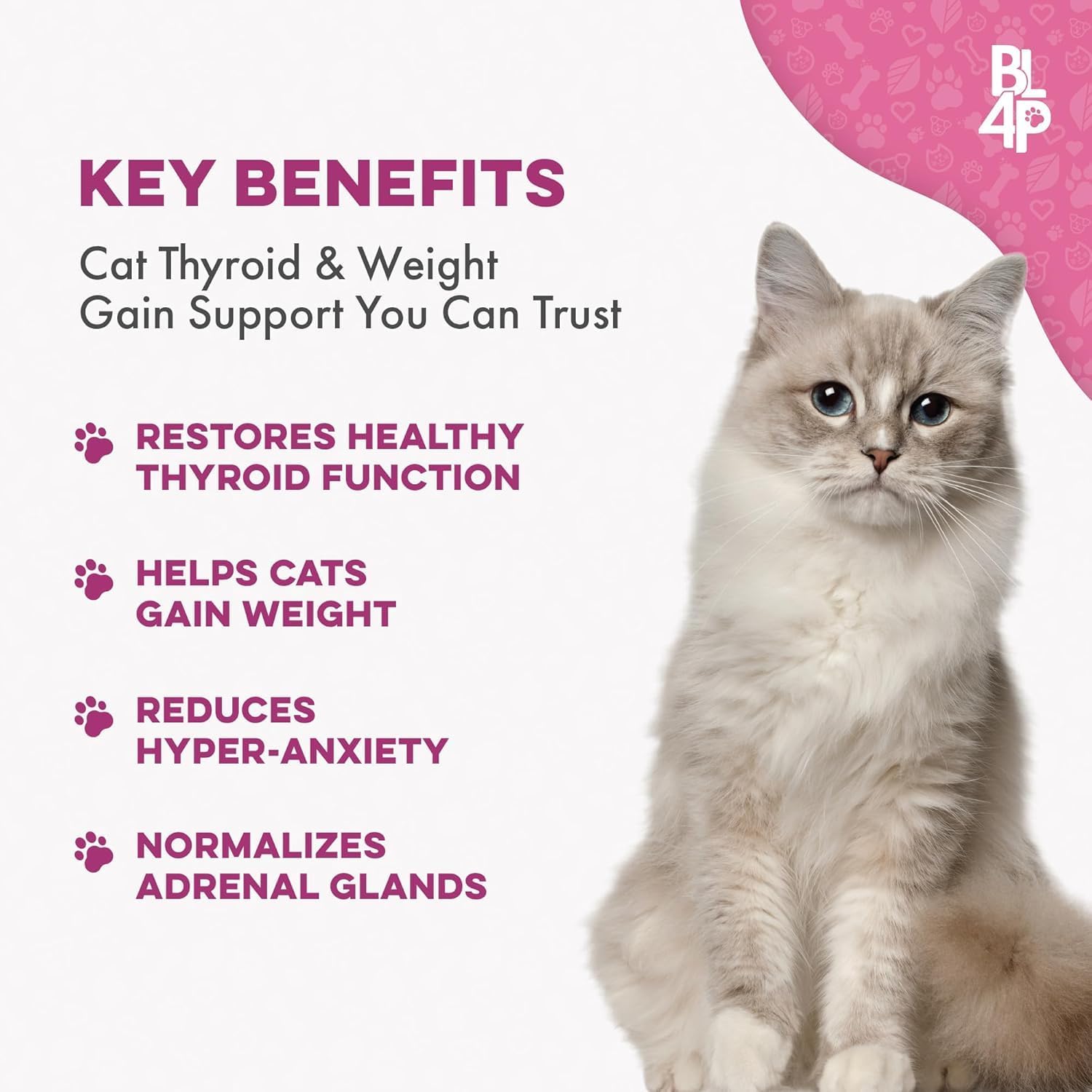 Cat Weight Gain & Hyperthyroidism Treatment, Safe and Effective Cat Appetite Stimulant, Thyroid and Metabolic Support, Weight Management Remedy, 800 All-Natural Odorless, Tasteless Pills