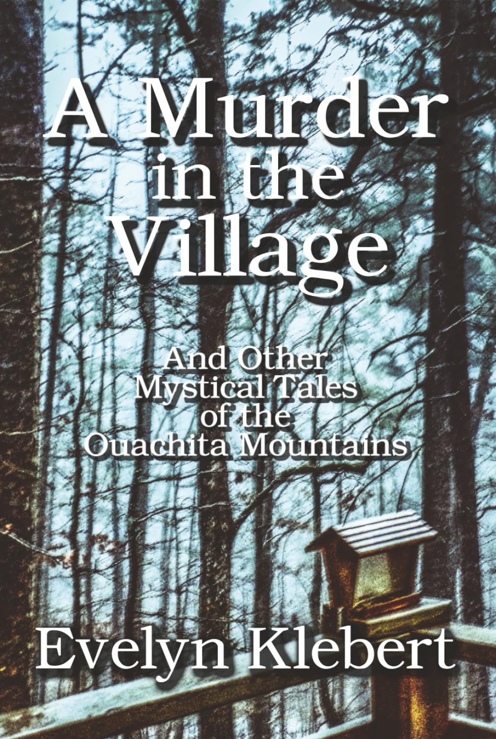 A Murder in the Village: And Other Mystical Tales of the Ouachita Mountains