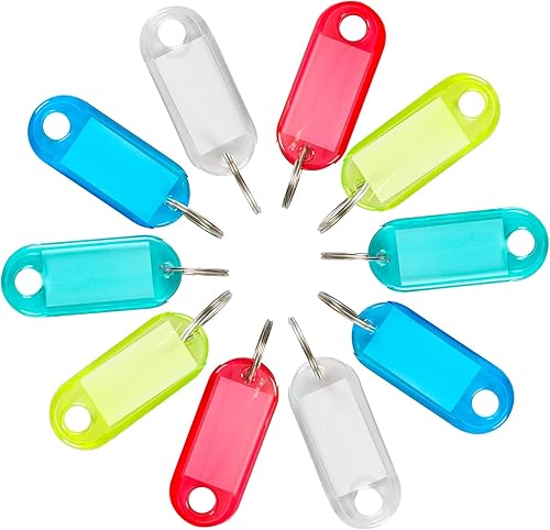 H&W 50 etiquetas de plástico transparente con pantalla de doble cara, organizador de llaves flexible con etiquetas ventana y anillo, 5 colores