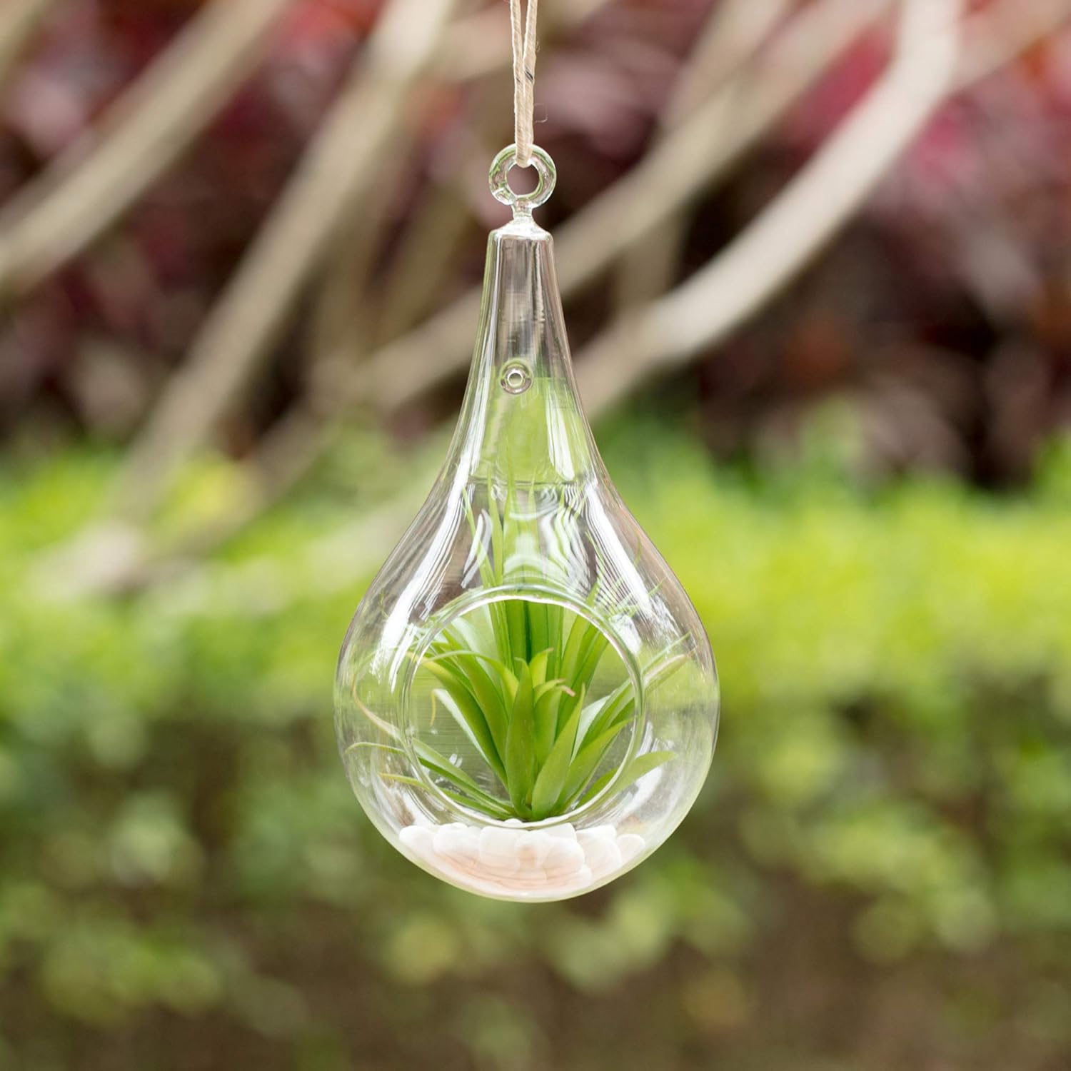 WGV Glass Hanging Plant Terrarium Bulk, Width 4.75", Height 9.5", Teardrop Pear DIY Air Succulent Planter Clear Tea Light Votive Candle Holder, Wedding Event Office Home Outdoor Decor, 6 Pieces