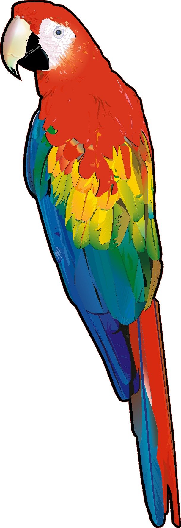 Lightningsigns Clear Parrot Stained Glass Effect Window Decoration Sticker Lssp1