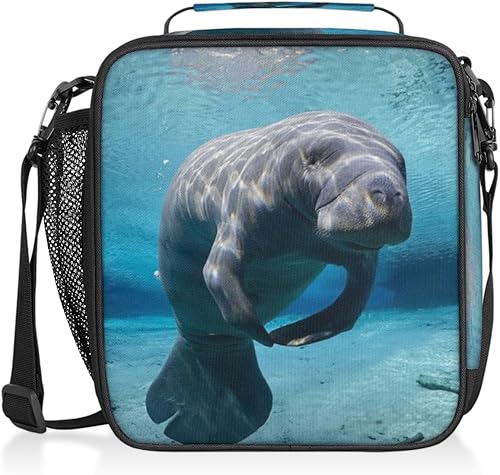 Miniatura 9 de Lonchera con diseño de unicornio y galaxia arcoíris para niños y niñas, bolsa de almuerzo aislada con correa ajustable para el hombro, reutilizable,