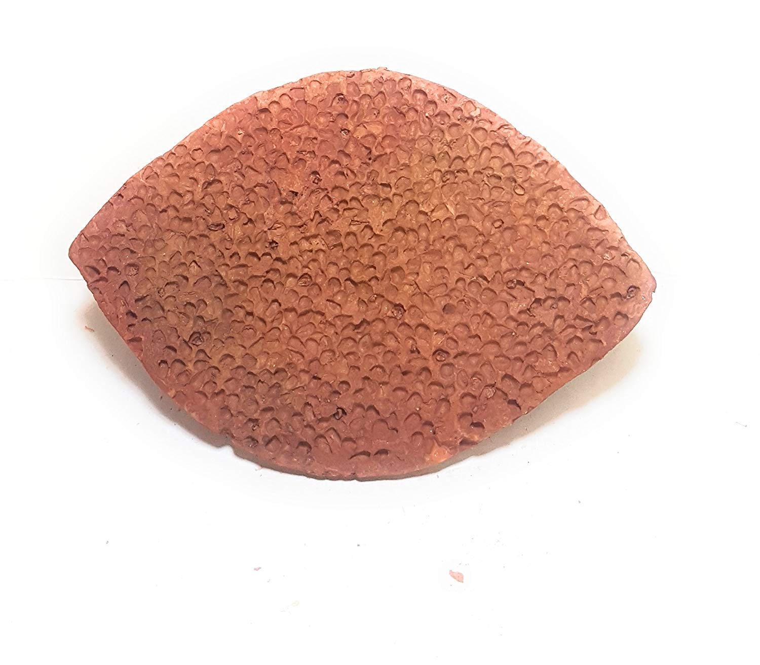 Natural Mitti Foot Scrubber | Handmade Terracotta Heel Scraper