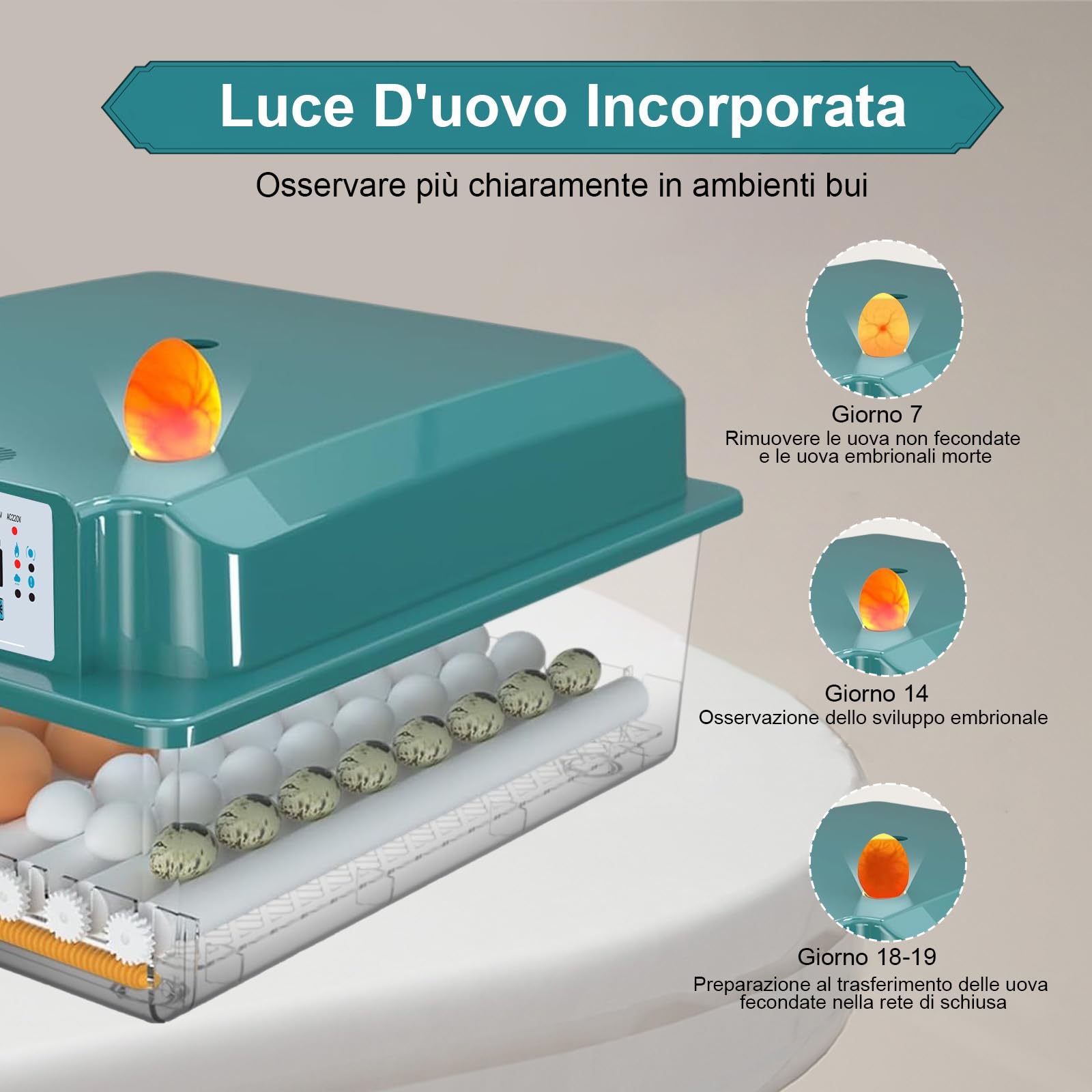 CoInceptus Incubatrice per Uova Automatica, Incubatrice da 24-36 Uova con Tornitura Automatica delle Uova e Umidificazione Automatica, Incubatrice per Uova di Gallina, Quaglia, Anatra