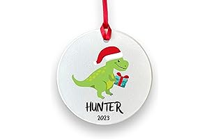 Personalized Christmas Dinosaur Ornament for Kids