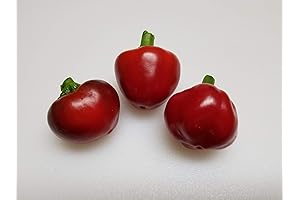 Indispensable Calabrian Hot Pepper Seeds: Culinary Excellence in Every Bite