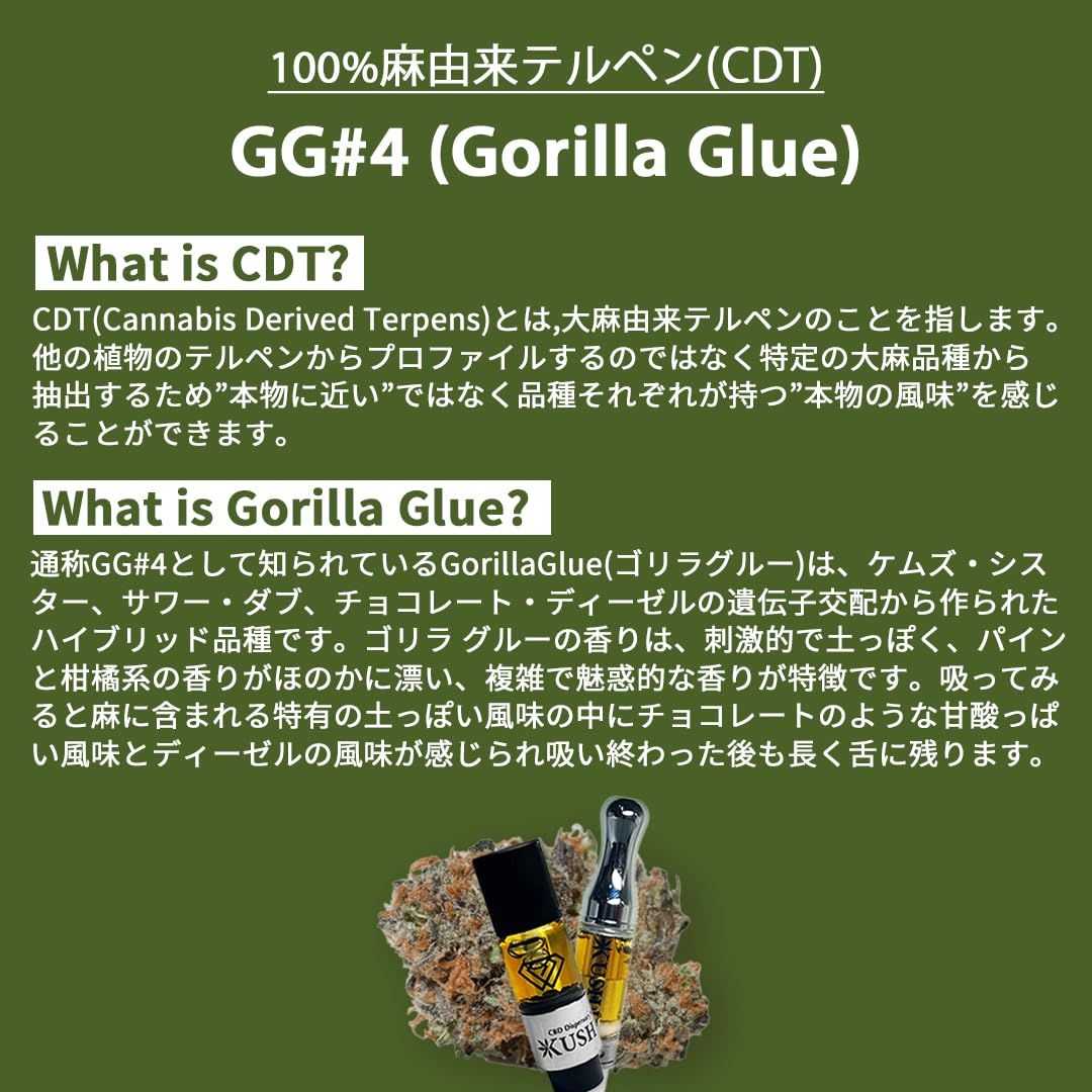 Amazon | 【KUSH JP】 CBNリキッド 高濃度 CBN × CBG 【改正基準適合