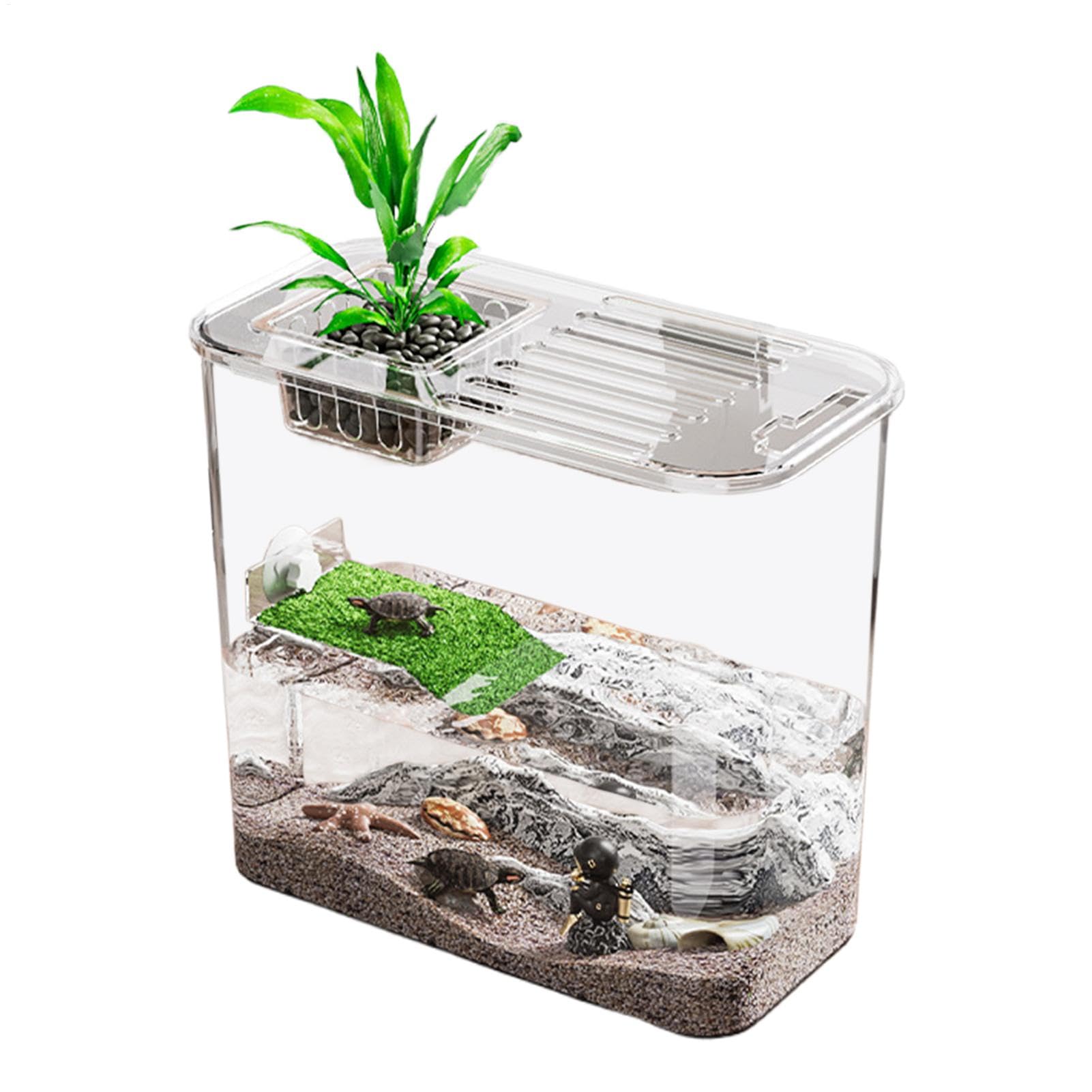 Tanque para tortugas de agua, tanque para tortugas, acuario decorativo | para peces, acuario creativo para tortugas y peces con tabla de escalada, acuario transparente para tortugas