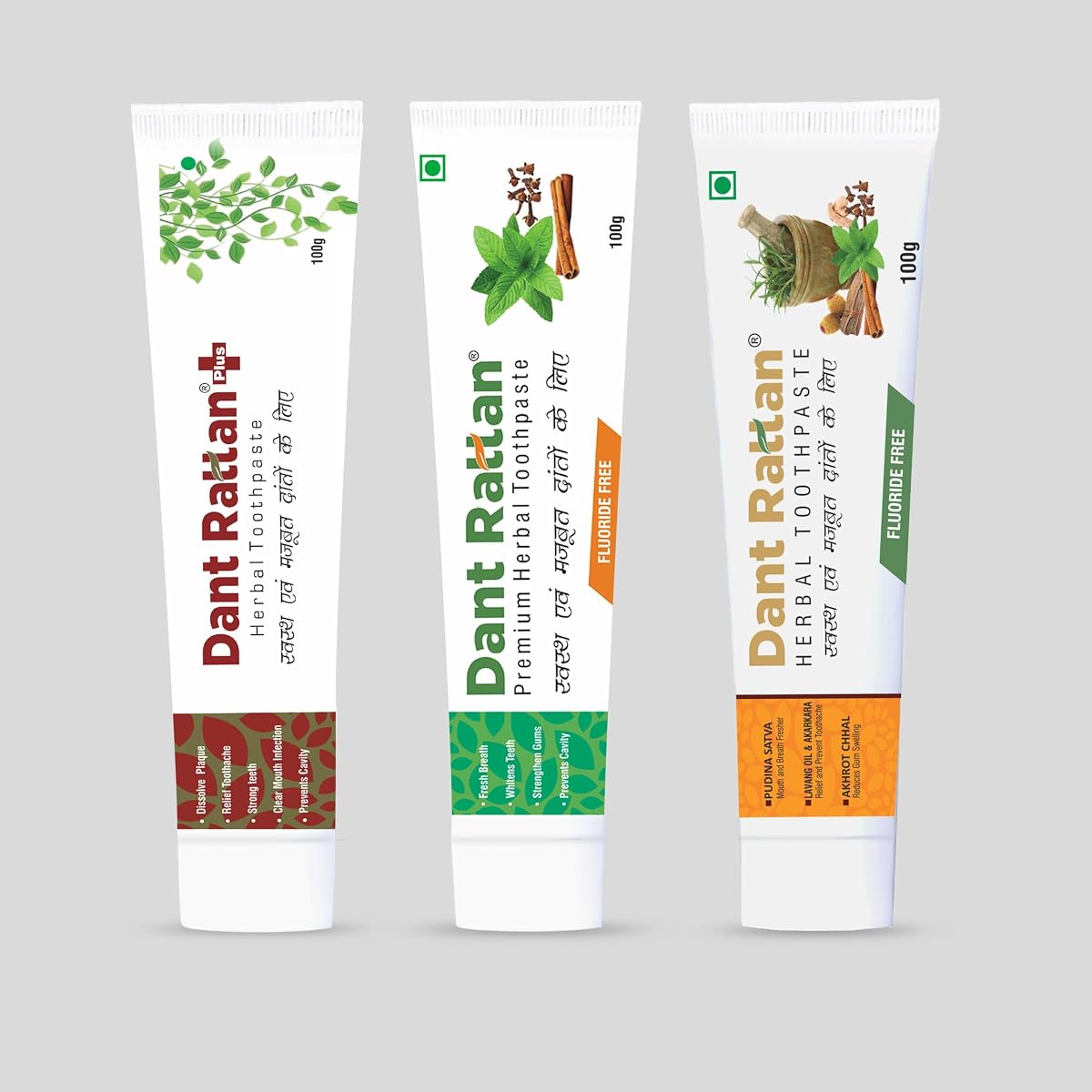DANT RATTAN Plus Herbal Multi Action Toothpaste (100Gm) + Herbal Toothpaste