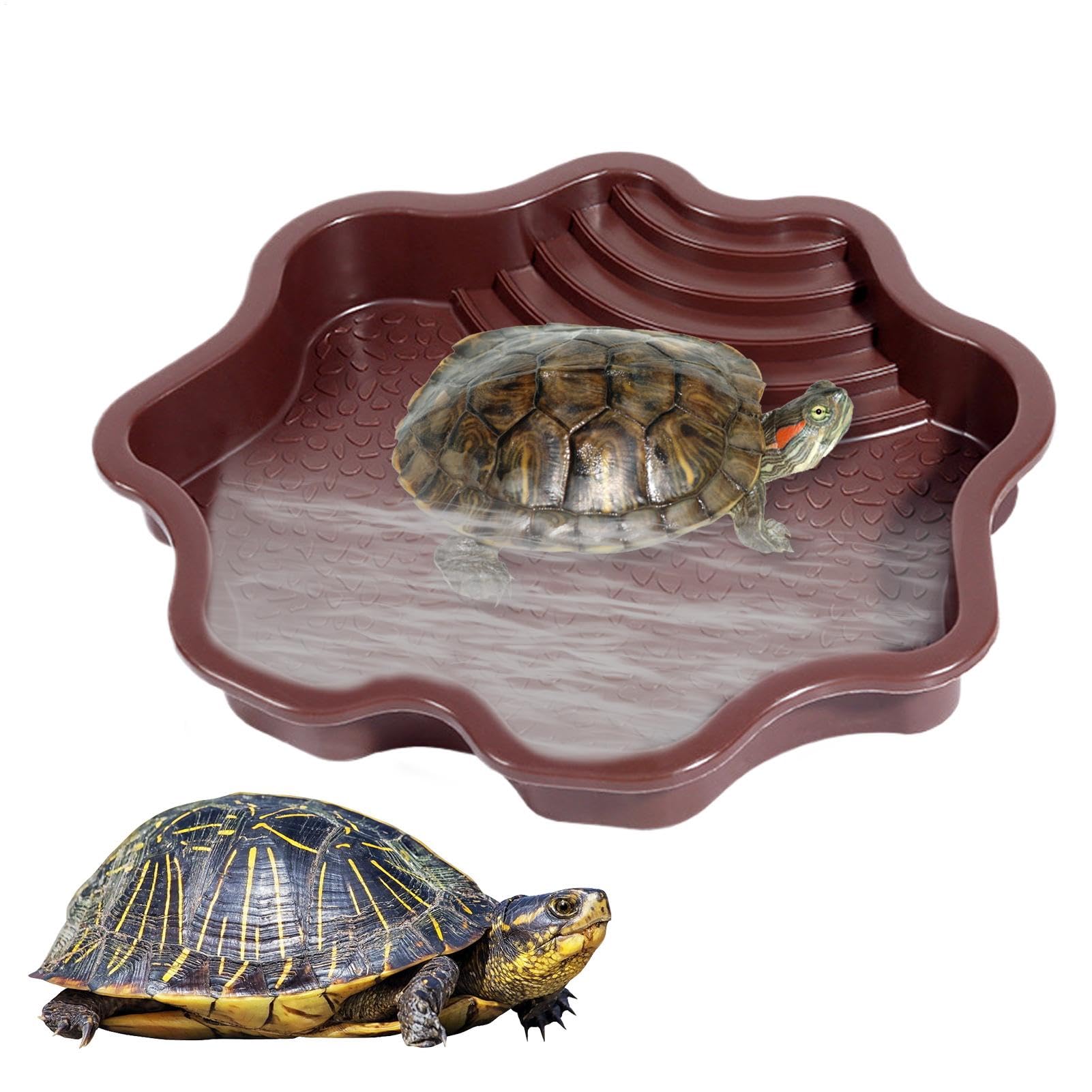 Piscine de baignade pour reptiles avec échelle | Accessoires habitat pour salamandre, dragon barbu, lézard