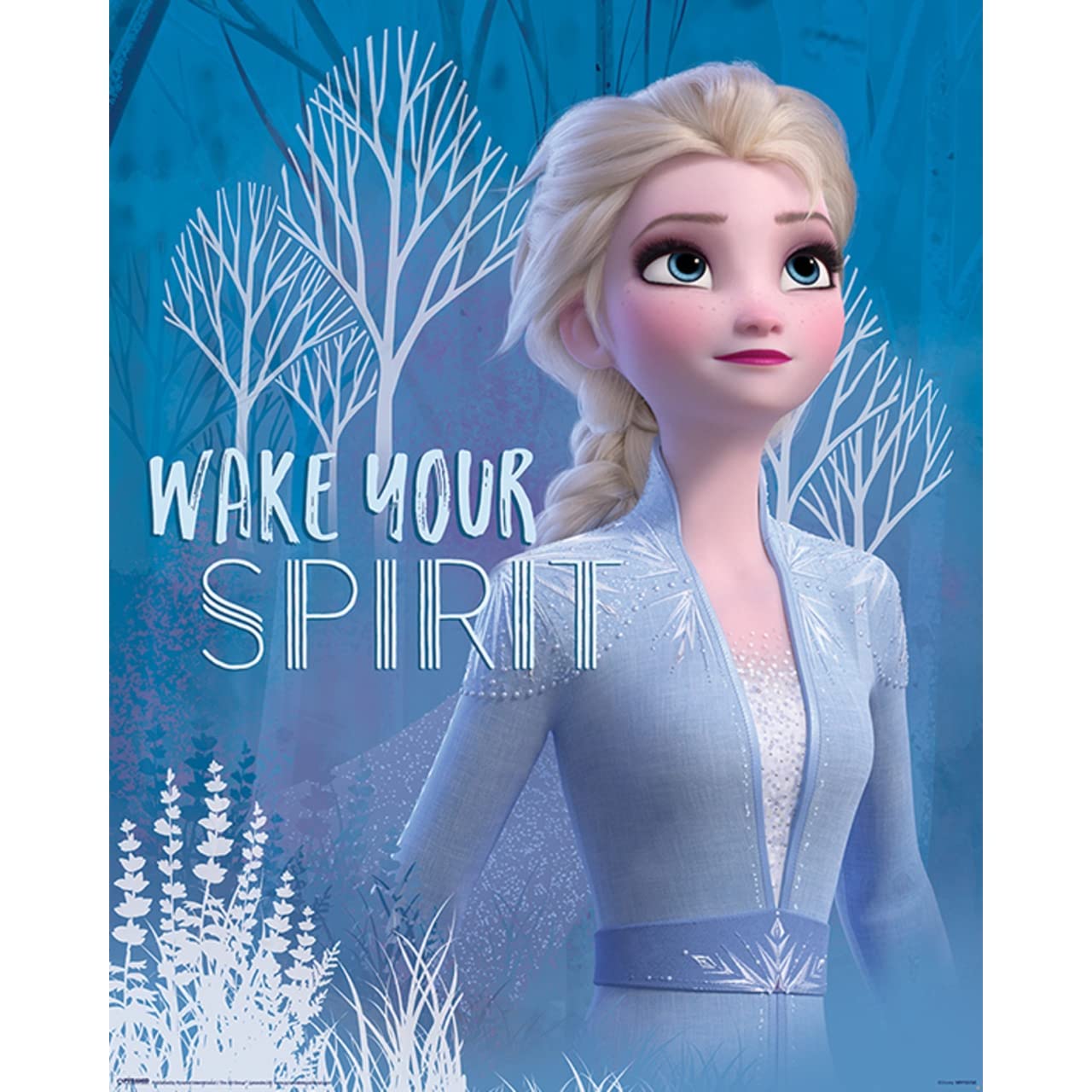 Disney Frozen 2 (Wake Your Spirit Elsa) Mini Poster
