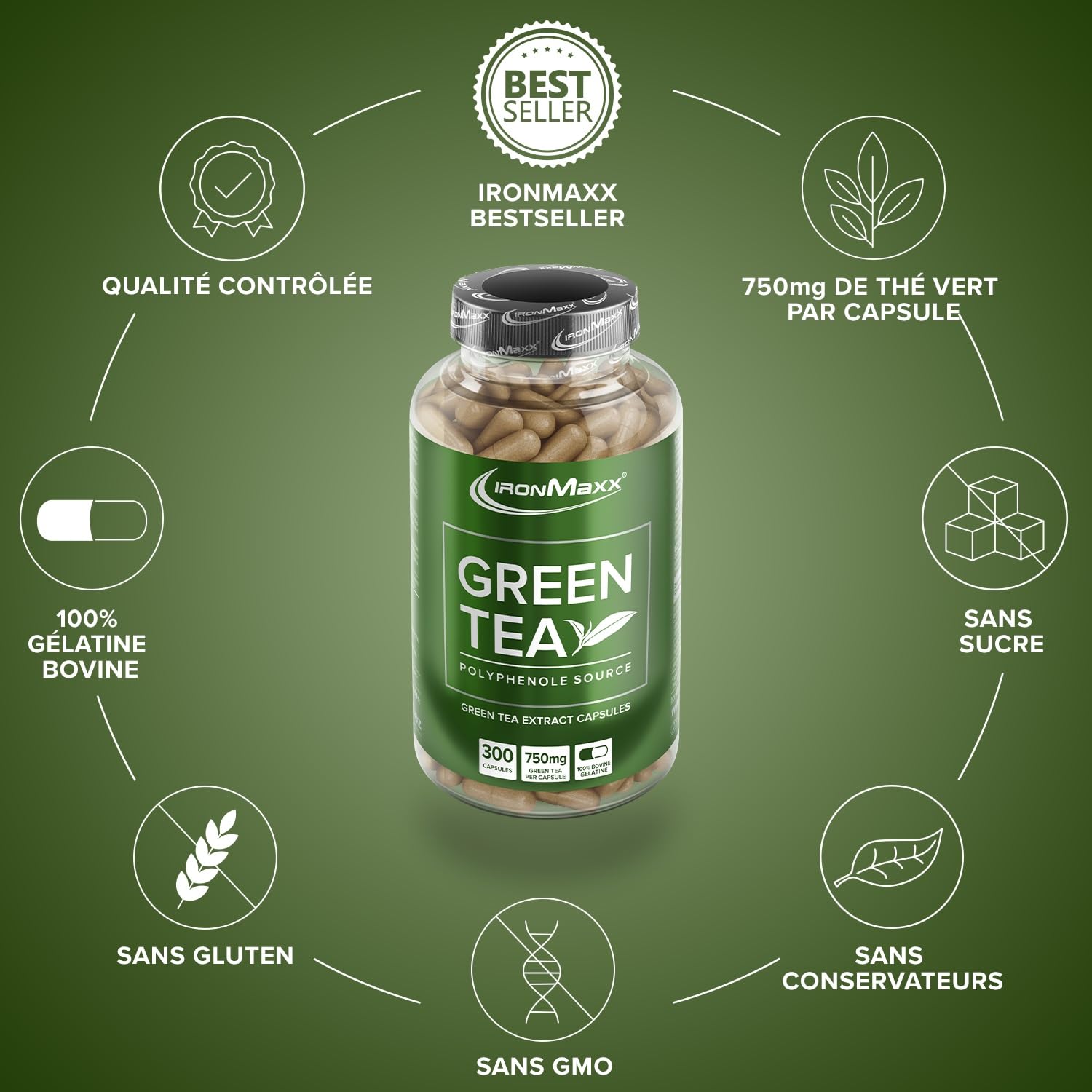 IronMaxx – Extrait de Thé Vert en Gélules – 300 Capsules – Complément Alimentaire Minceur & Brûle-Graisse