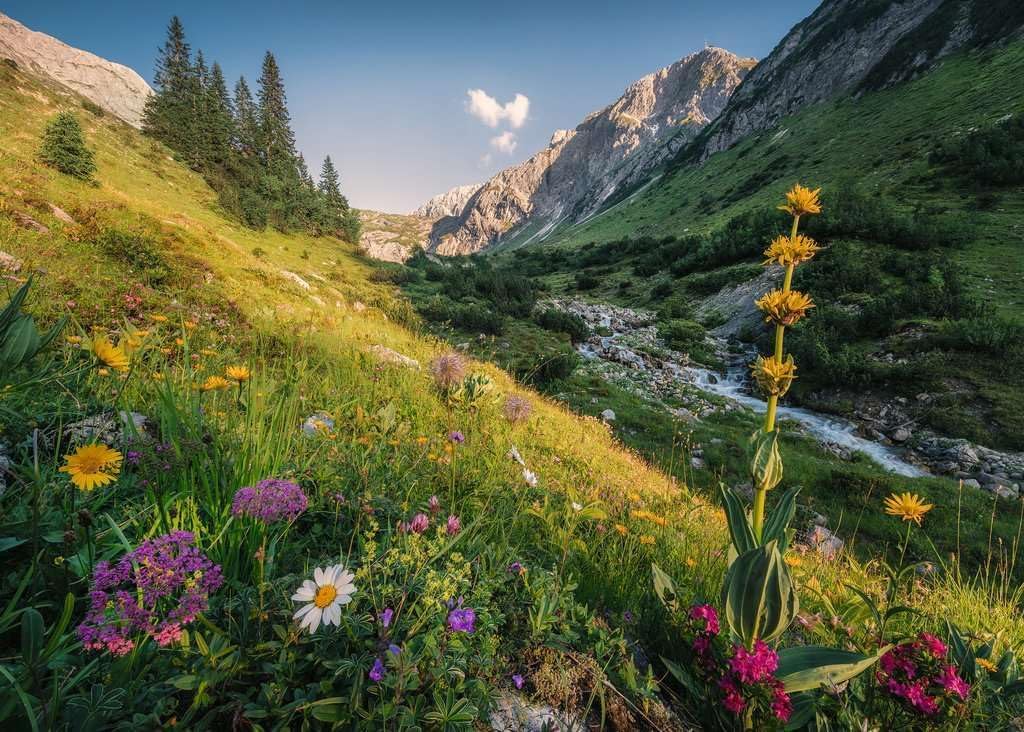 Adult Puzzle 1000 Pieces - in The Garden of Eden