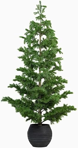 Zaina Home Árbol de Navidad de bosque de pinos decoración del hogar para exteriores e interiores árbol de Navidad verde para festivales y