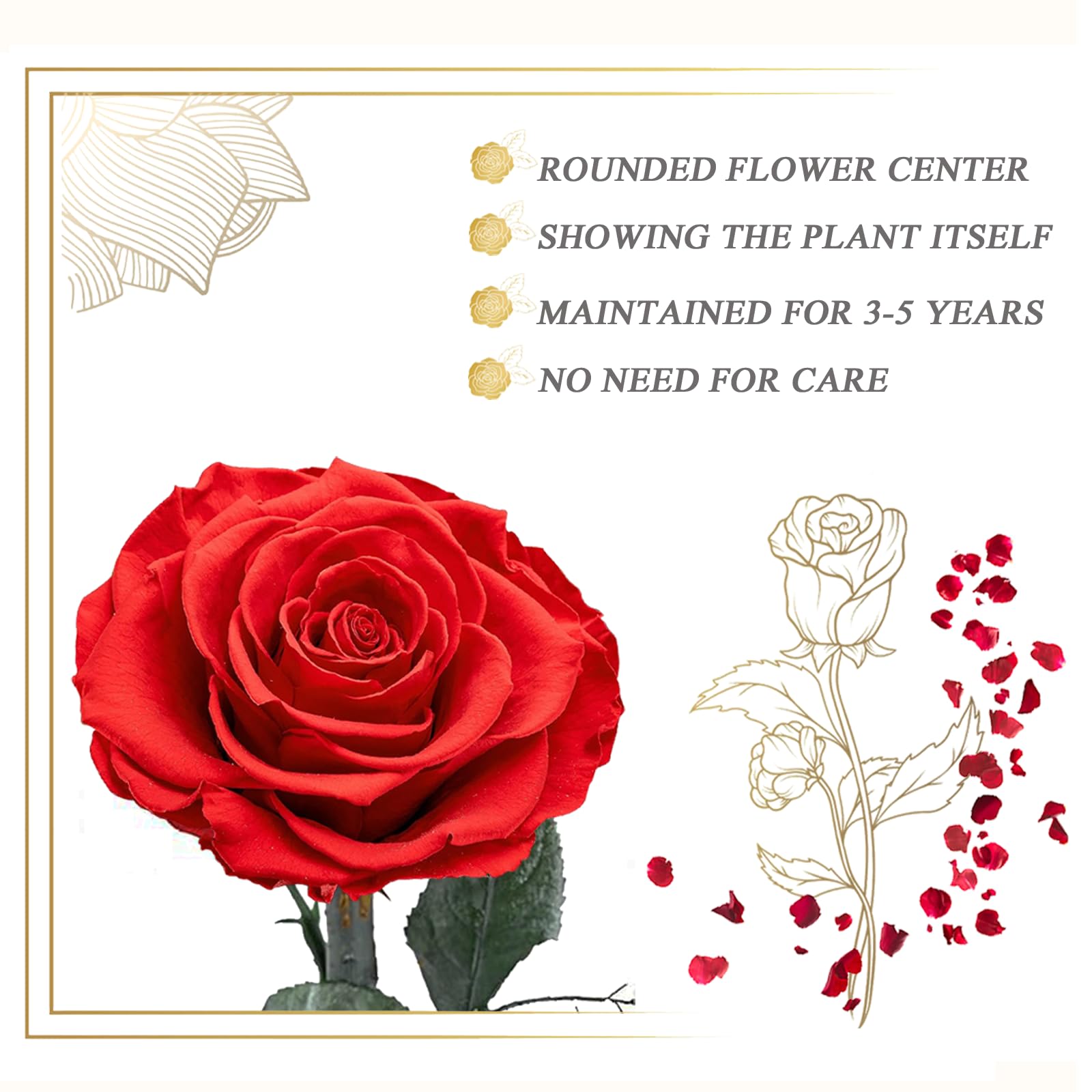 Rosa Stabilizzata Vera in Vetro, Rosa Eterna Realizzati con Rose | vere, Fiori Stabilizzati Sotto Vetro a Cupola, Regalo Donna Compleanno, Regalo Mamma, Regalo Fidanzata, Moglie,rosso