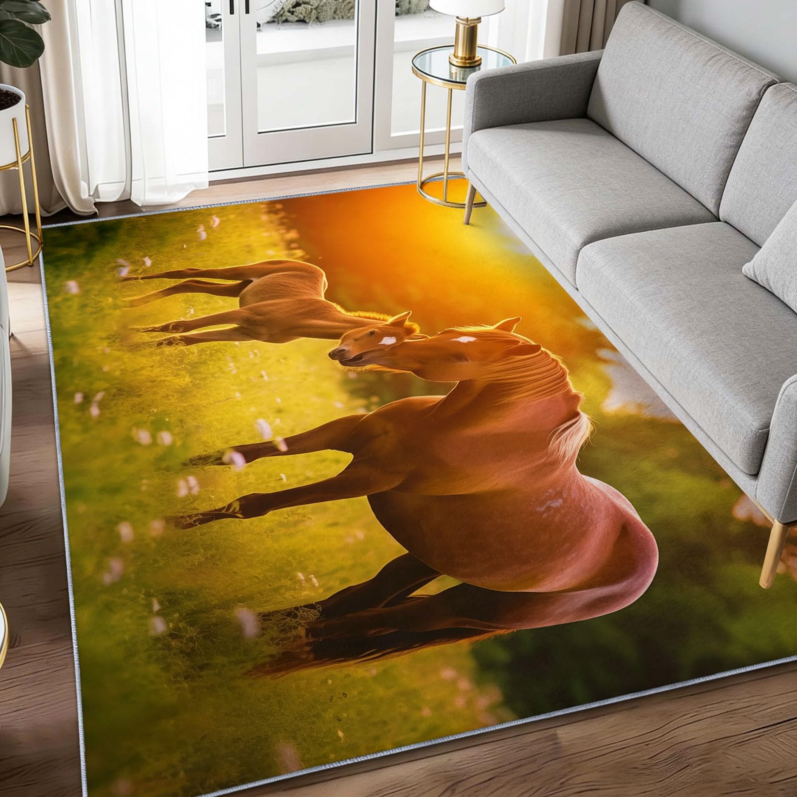 Alfombra de pelo corto suave de 60x90 cm que soluciona las manchas del pasillo 1