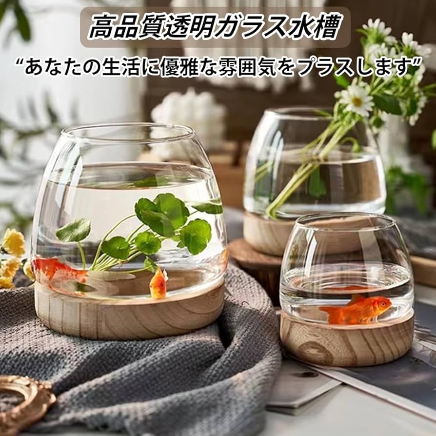 Amazon | 金魚鉢 水槽 アクアリウム ガラス 丸型 メダカ鉢 飼育