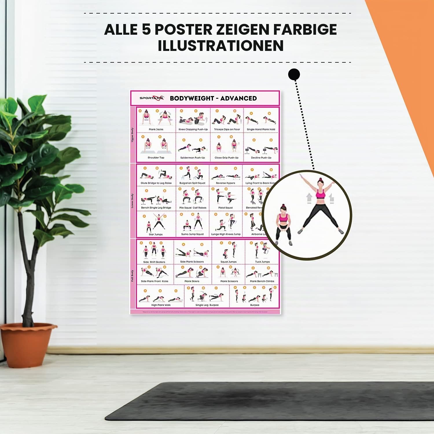 SPORTAXIS laminierte Workout-Poster für daheim ohne Geräte, Farbabbildungen, Bodyweight-Grund-/Aufbauübungen, Yoga, Abs-Training für Männer und Frauen, 45,7 x 68,6 cm, 5 Stück, englische Version