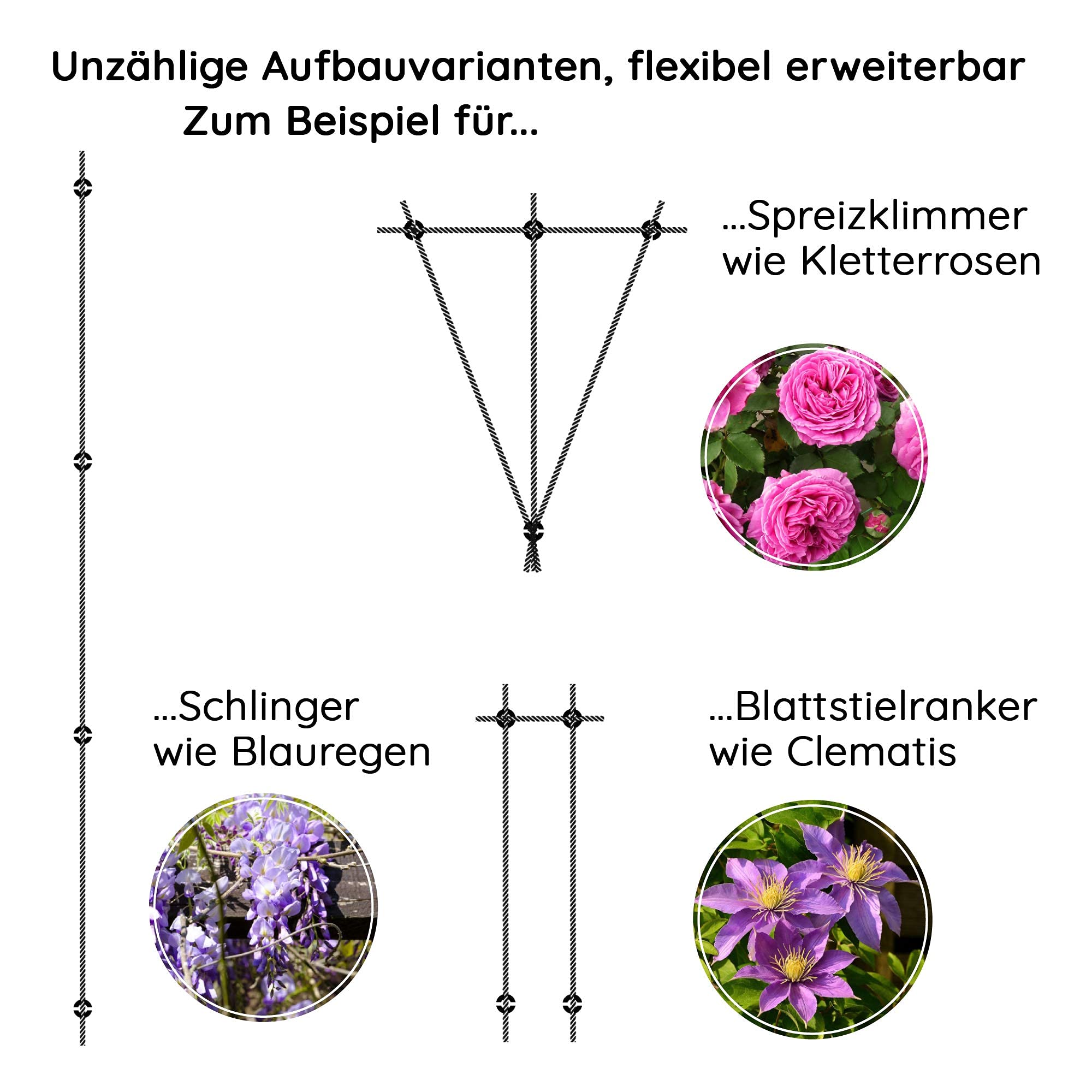 Rankhilfe aus Edelstahl für Kletterpflanzen, Profi-System als Komplettset mit Wandhaltern und 3mm Stahlseil (8 Halter, 12,5m Seil)