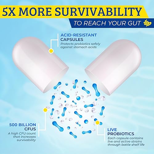 Miniatura 3 de Probióticos para hombres, 500 mil millones de UFC y 12 cepas, prebióticos y probióticos, arándano, palma enana americana, enzimas digestivas,