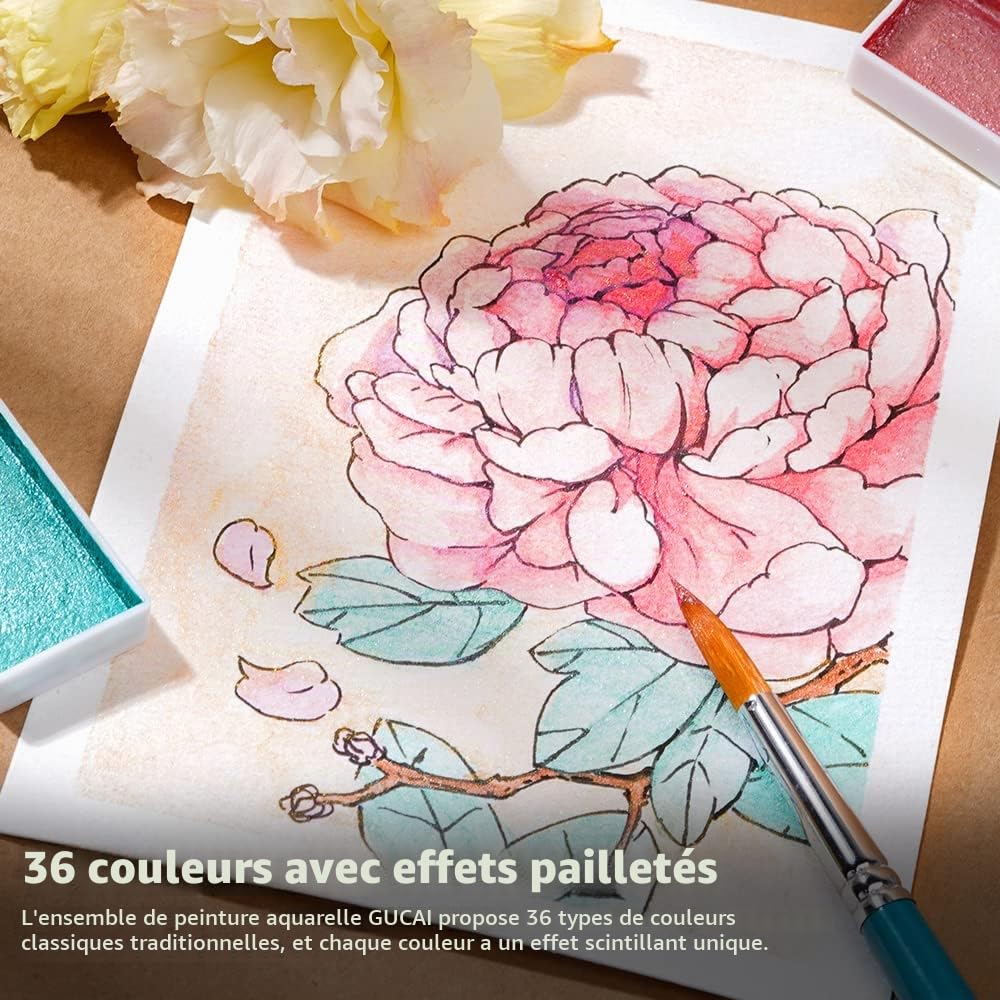 Paul Rubens GUCAI Set de Peinture Aquarelle Nacrée Classique 36 Couleurs Briller, Forte Couverture, Bonne Résistance à la Lumière, Idéal pour Illustrateurs, Artistes, Étudiants, Adultes, Enfants…