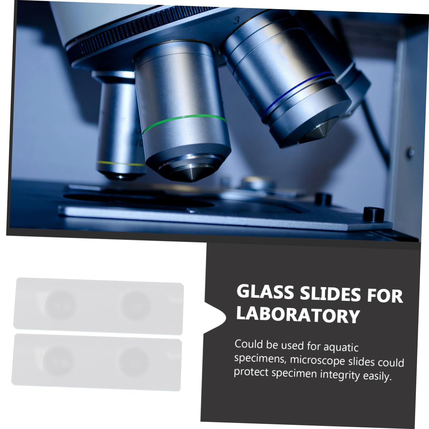 50 Uds Portaobjetos Cóncavos Portaobjetos De Vidrio Para Microscopio Portaobjetos De Vidrio Para Especímenes Portaobjetos De Microscopio Para Laboratorio Portaobjetos De Vidrio