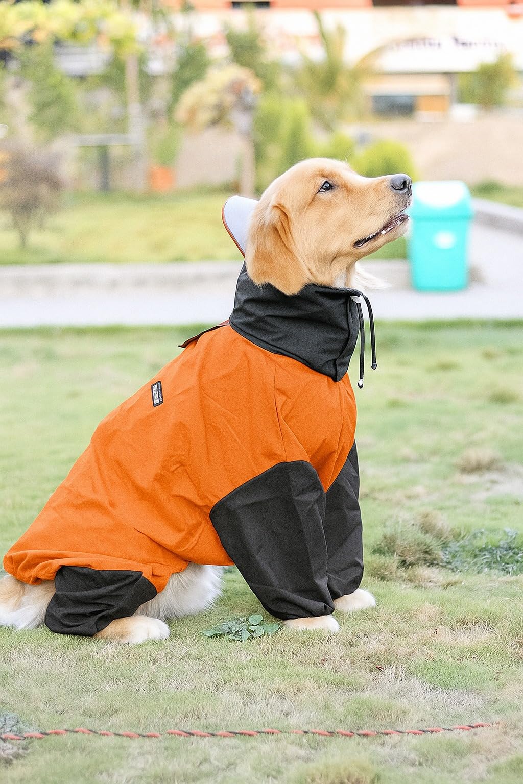 Bravo & Co. Full Body Raincoat for Dogs – Waterproof, Quick Snap