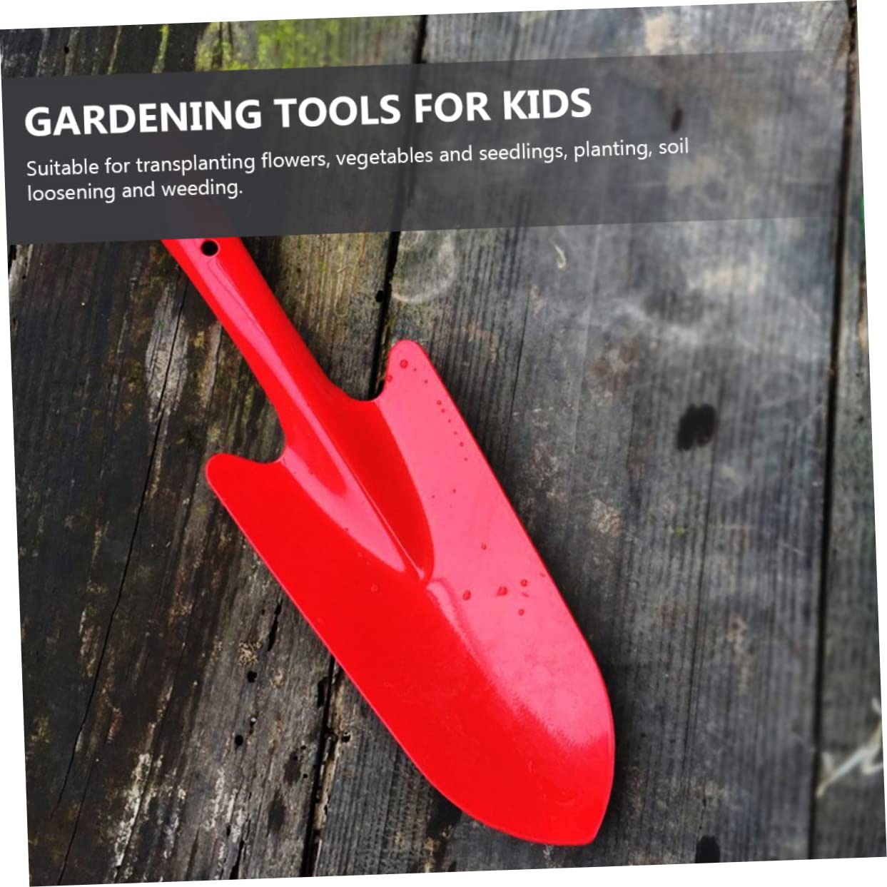 Fünf Kleine Gartenschaufeln aus Eisen zum Pflanzen und Graben