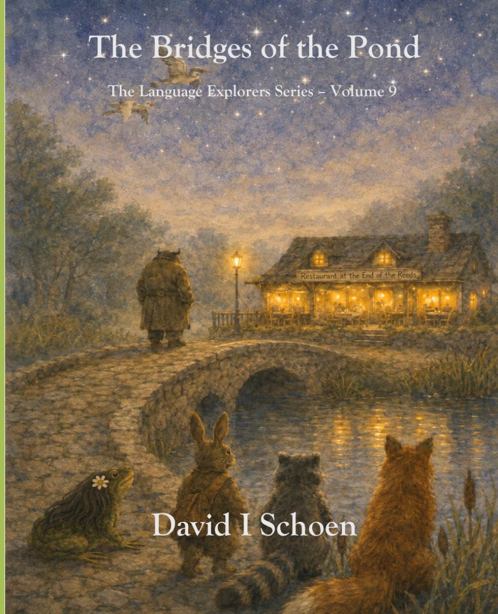 The Bridges of the Pond: The Language Explorers Series, Volume 9