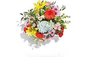 Whole Foods Market Delivery Fresh Flowers from Your Local Florist