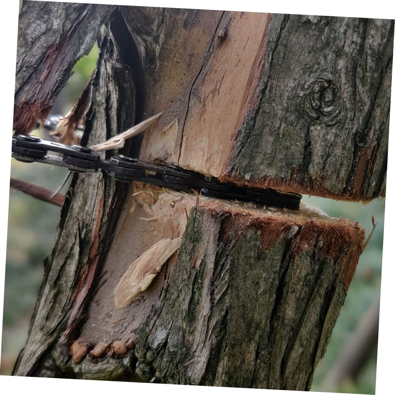 BCOATH Hand Cable Saw Trees Camping Tool Outdoor Rope Woven Steel Sawing Rope