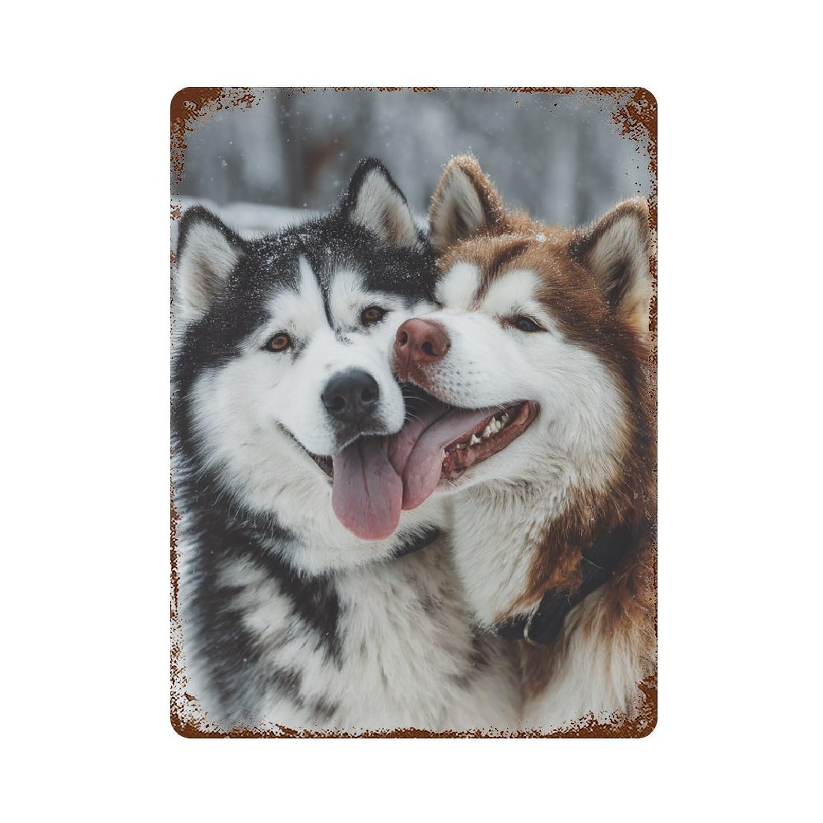 Winter Huskies in Love Rust Effect Tin Sign 15.7"x11.8", Decorative Metal Wall Art for Living Room, Hallway And Home Decor