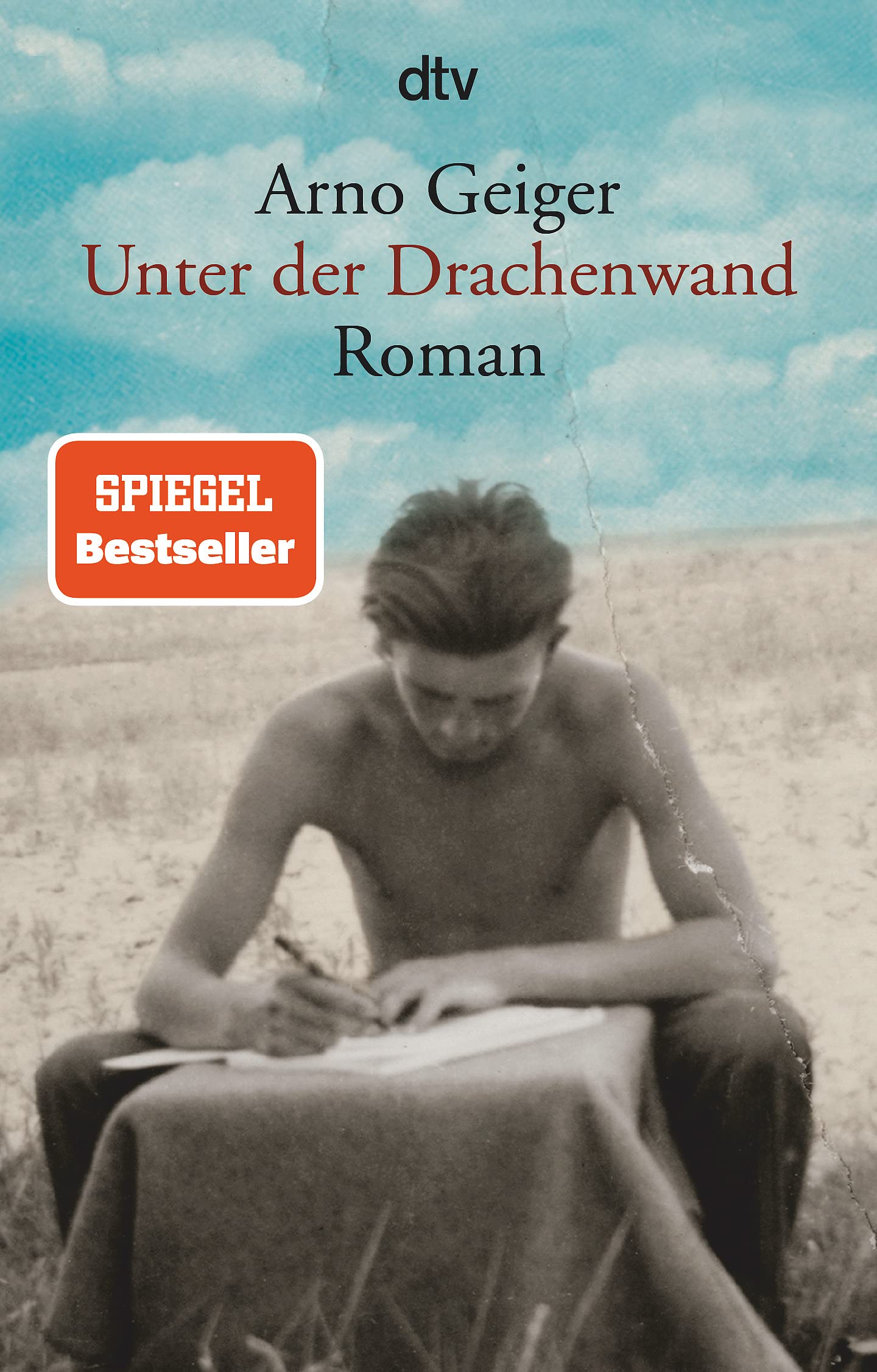 Unter der Drachenwand: Roman