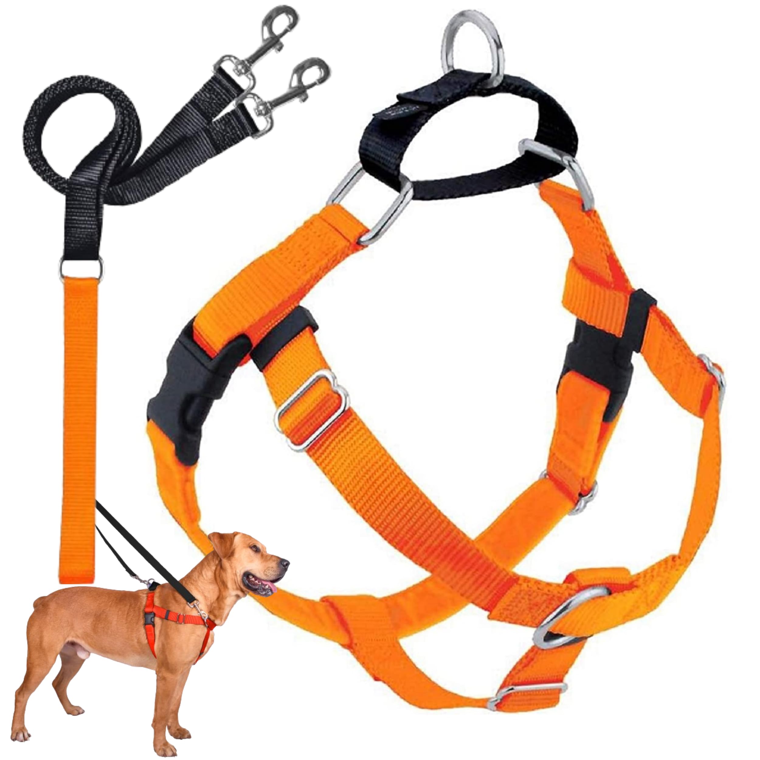 2 Hounds Design Freedom No Pull Dog Harness, Adjustable Harness and Leash Set, Easy Walking & Comfortable Control, Fits Small, Medium & Large Dogs, Solid Colors, Made in USA, 5/8" MD, Neon Orange