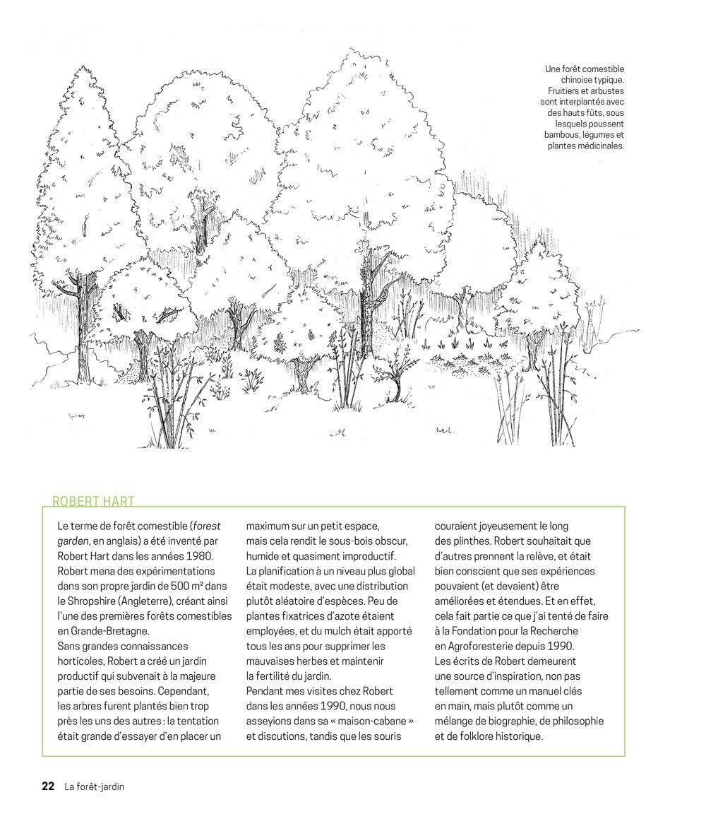 La forêt-jardin: Créer une forêt comestible en permaculture pour retrouver autonomie et abondance