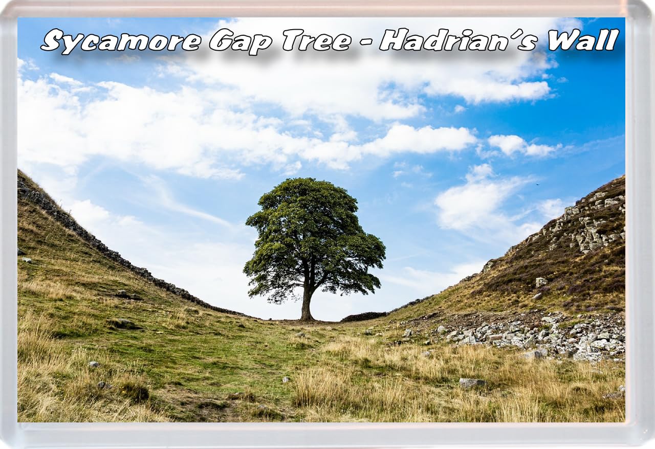 Baked Bean Store Multicolor Sycamore Gap Tree - Hadrian's Wall - 96 X 67Mm Jumbo Fridge Magnet/Magnets Bbsfhm738