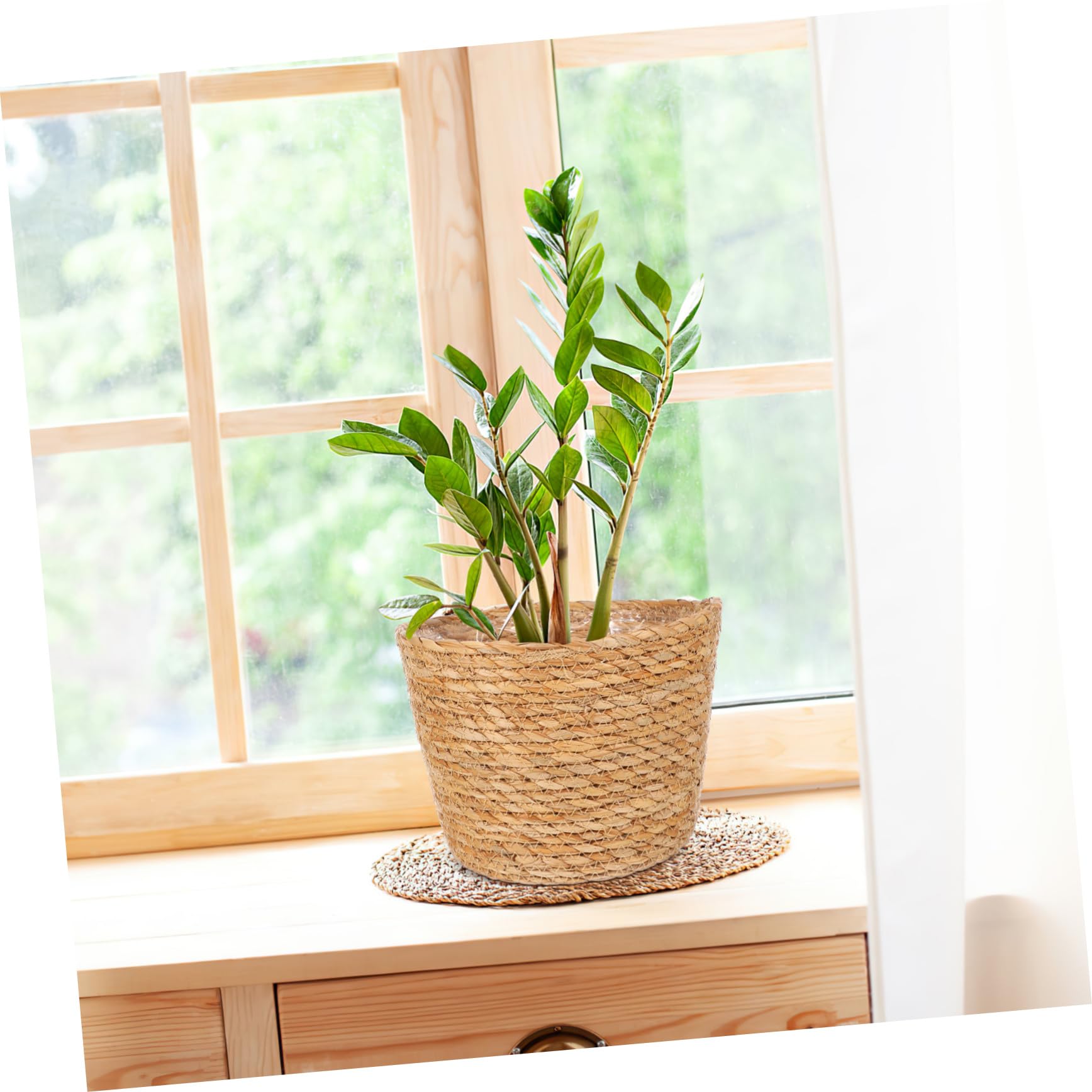 Amazon.co.jp: ラタン7フラワー7ポット7屋内7ツリー7植物7バスケット7