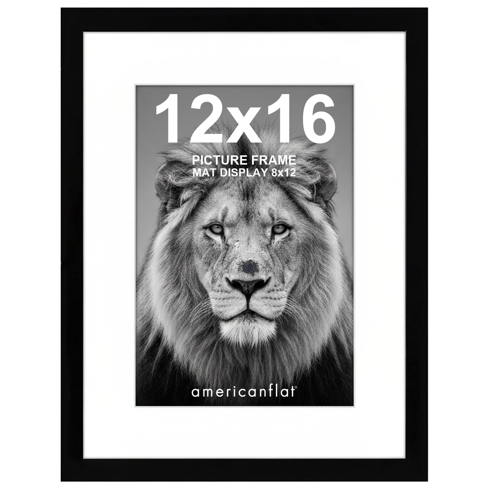 Americanflat 12x16 Picture Frame - Matted to 8x12
